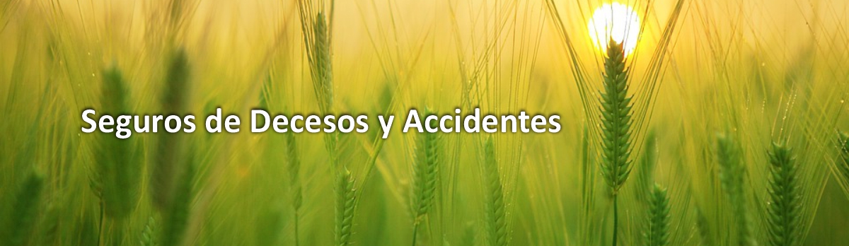Seguros de accidentes y decesos Seguros de accidentes y decesos