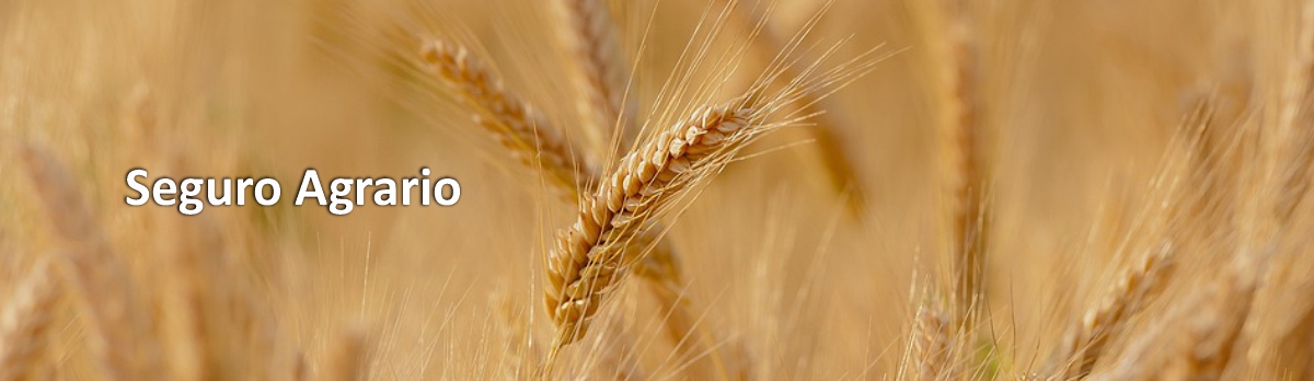 Seguros agrarios Seguros agrarios