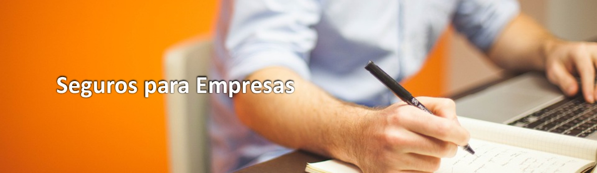 Seguros para empresas Seguros para empresas