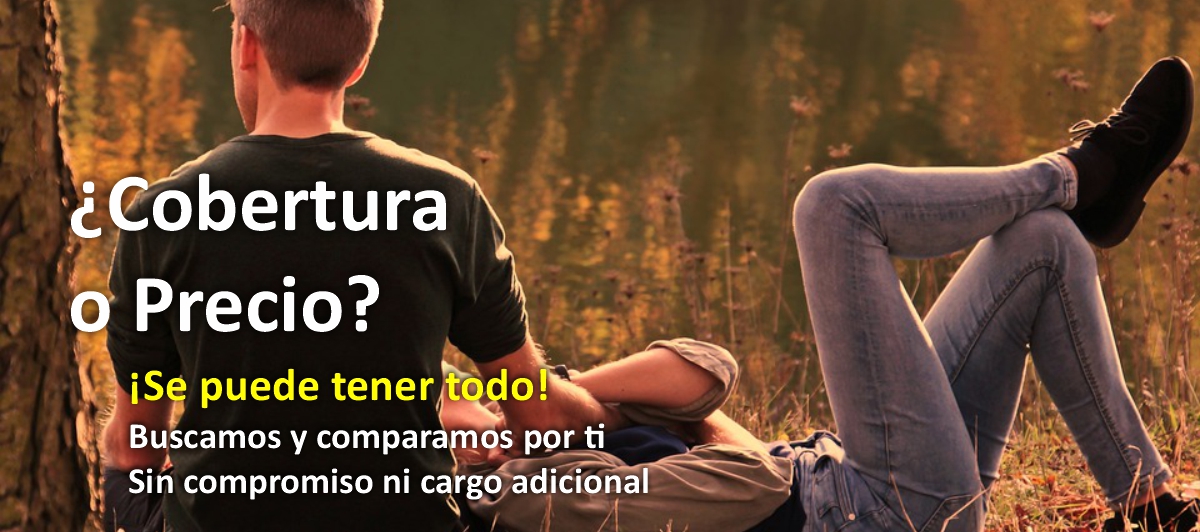 Elegir seguro