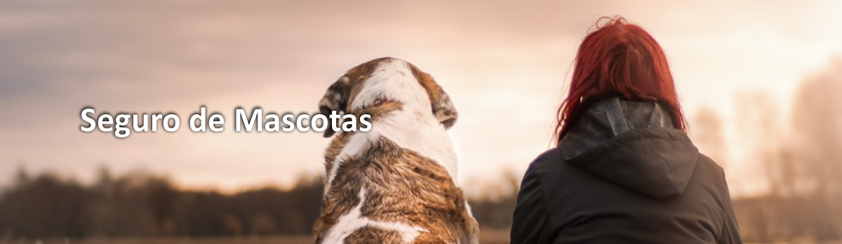 Seguros para mascotas Seguros para mascotas