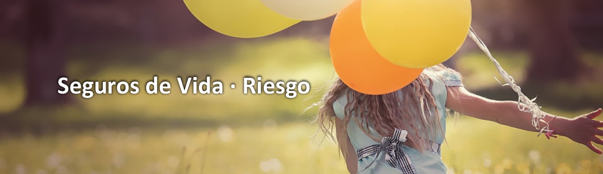 Seguros de vida riesgo Seguros de vida riesgo